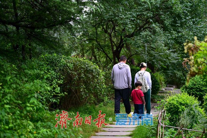 一年四季 泉在济南丨雨后泉城绿意浓，济南森林公园焕发活力