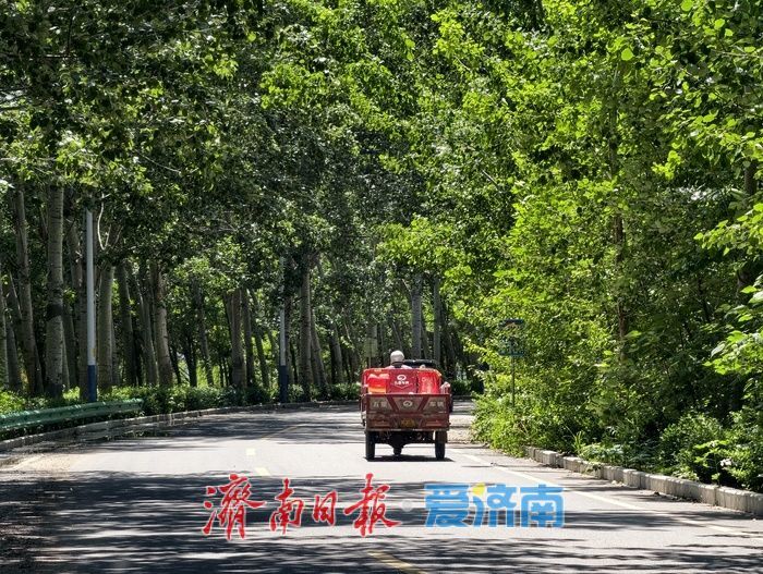 初夏穿行小清河北路，误入城市版“绿野仙踪”