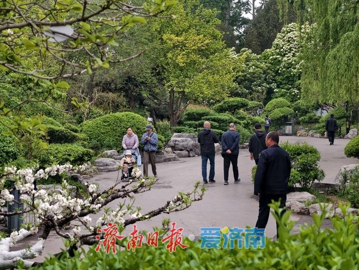 一年四季 泉在济南丨雨后游园享清新