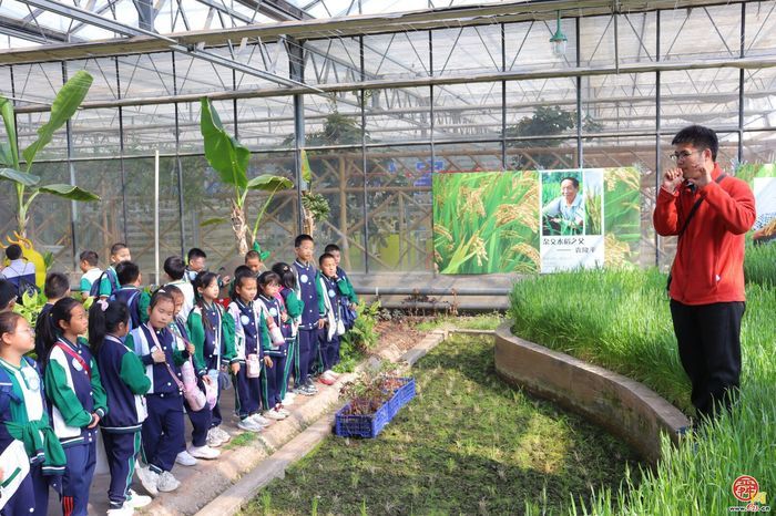脚下踩泥土 心中藏成长——济南市天桥区枫景小学开启“‘玉’见小美好 节约大行动”主题实践课程