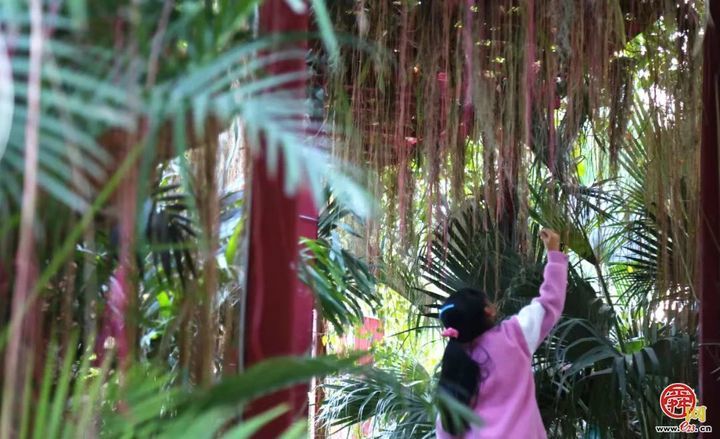 来公园热热闹闹过大年｜济南植物园邀您打卡“一帘幽梦”