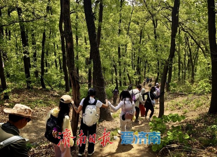 一年四季 泉在济南丨徒步药乡 奔赴山林之约