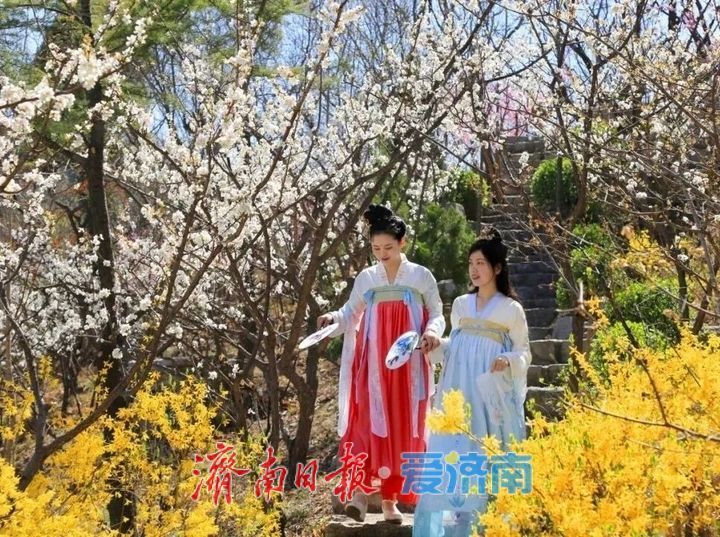 抓住假期的尾巴！济南这波春日快乐，今天必须赶上！