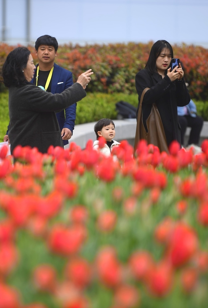 春花烂漫时，“郁”见你真好