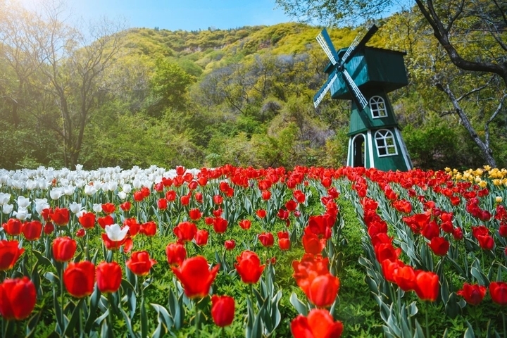 文旅市场火爆收官！济南市30家景区共接待游客364.5万人次