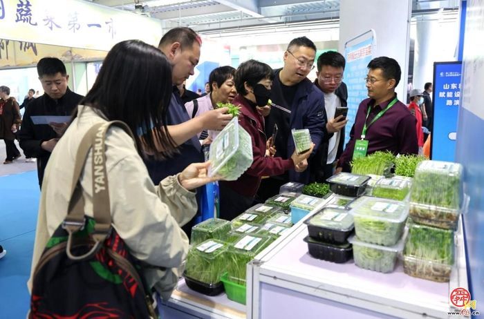 第二届菜博会圆满收官 济南“泉水人家”成果丰硕