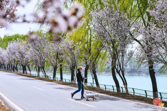 点击进入DeepSeek眼中玉清湖街道！