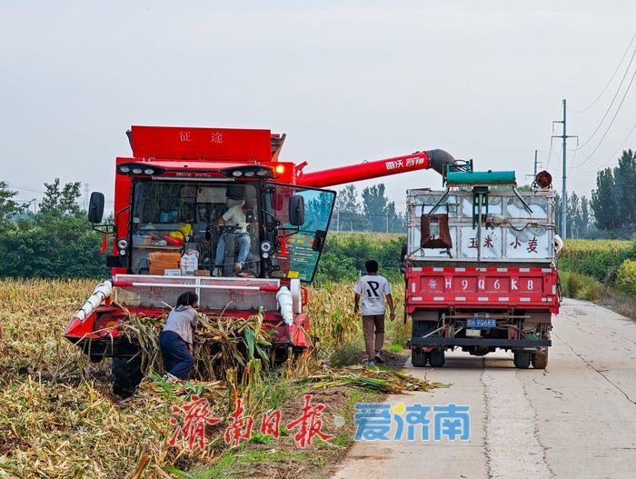辐射7.5万亩，日烘1800吨：山东粮食烘干“旗舰”已就位，迎战阴雨天气