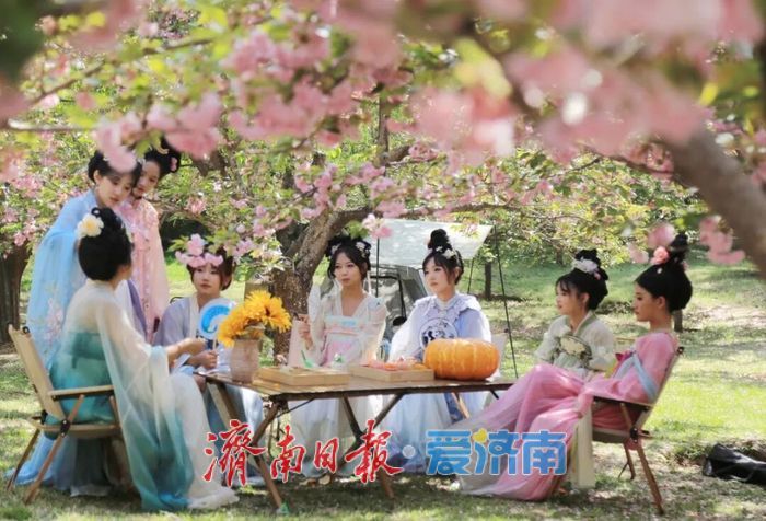 济南植物园花间宴如约而至