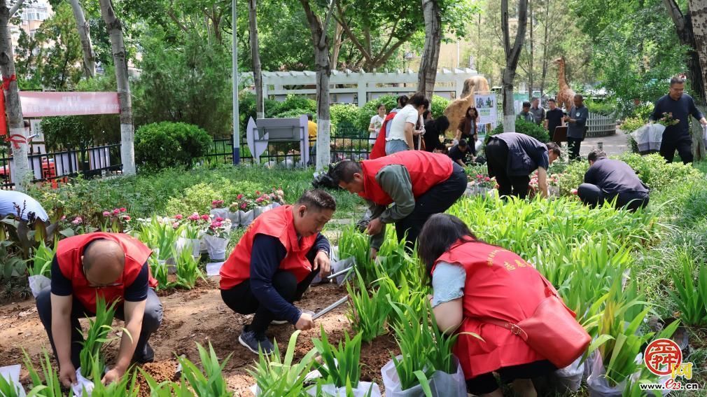 “植绿尽责 共建共享”｜济南开展“全民义务植树+共建花园”尽责活动
