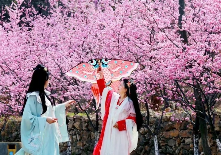 泉在济南过五一丨不负好春光！ 即刻出发，赴一场泉城“春日之约”