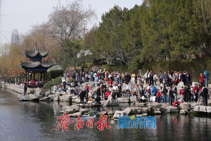 泉在济南过大年丨泉水游持续升温，赏泉品茗乐享新春