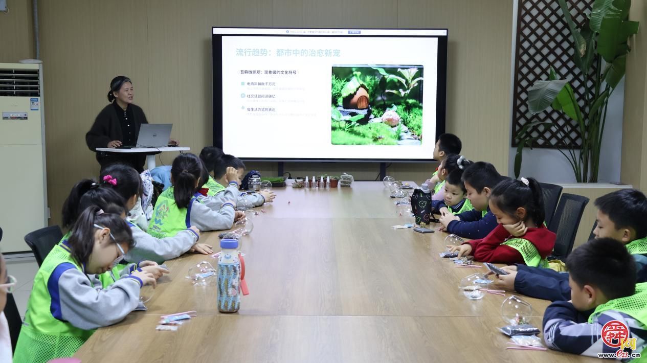 指尖上的绿意！济南园·林惠民行带你DIY专属“迷你森林”