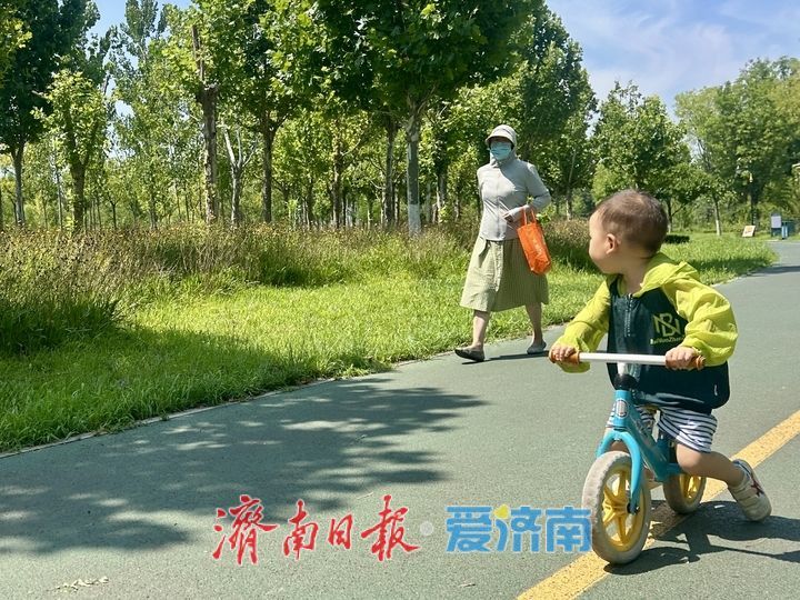 蝉鸣悠长 清风送爽 济钢中央森林公园成市民周末休闲好去处