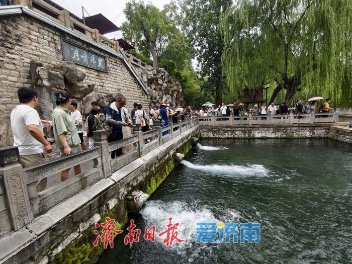 济南护城河游人如织尽显泉城风韵