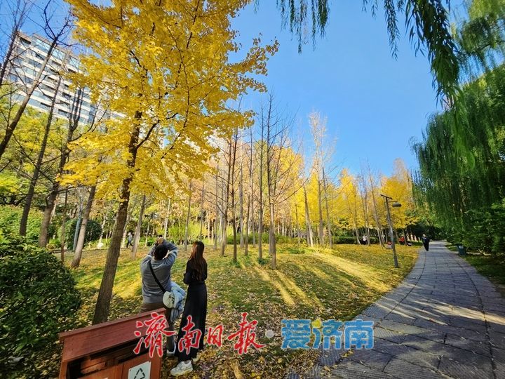 一年四季 泉在济南丨秋色惹人醉 公园秋日美景处处出大片