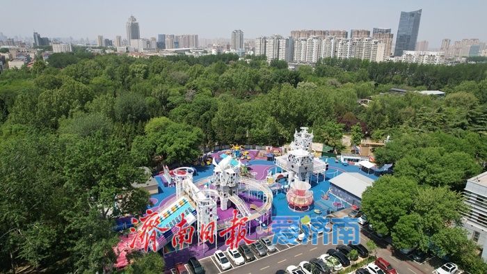 一年四季 泉在济南｜暮春时节百花公园，满目绿意处处皆景