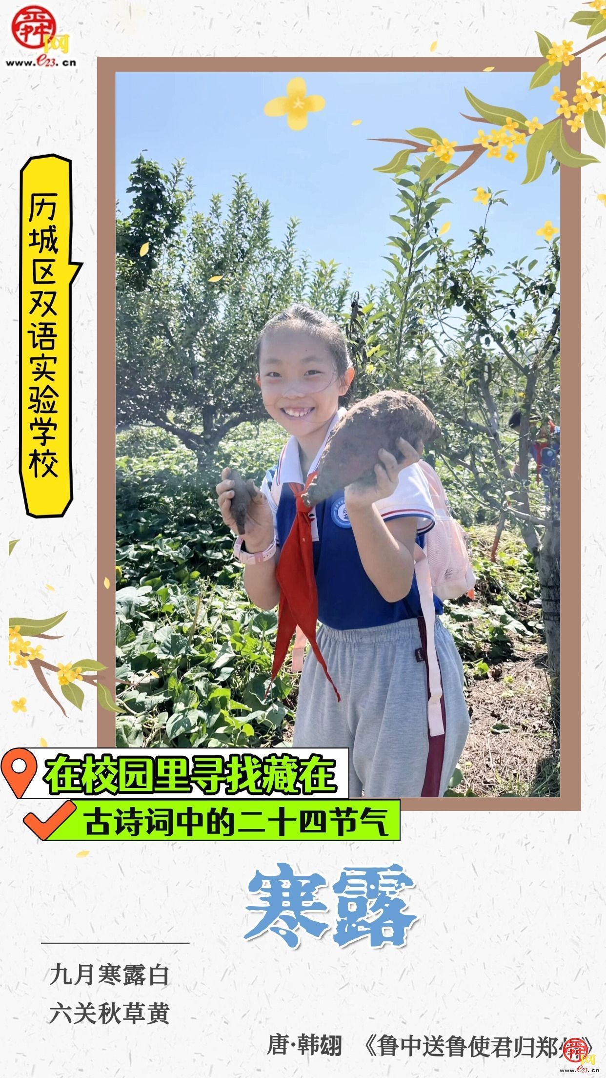 在校园里寻找藏在古诗词中的二十四节气｜寒露