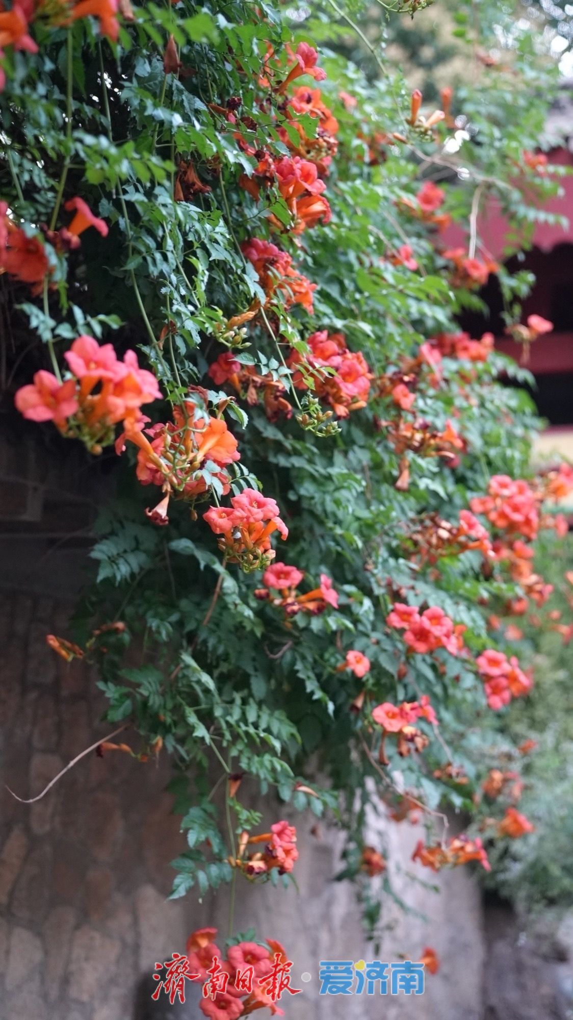 一年四季 泉在济南 