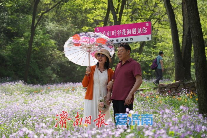 郁金香花开成海！济南红叶谷变身“莫奈花园”，春日顶流打卡地藏不住了！