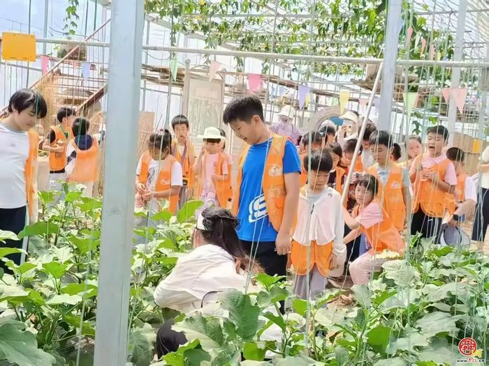 科技小院赋能乡村振兴 章丘区圣井街道盛泉生态园高质量发展路径