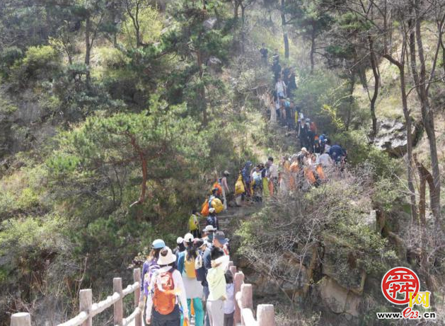 百人聚力净山野 生态守护筑青山 济南“一城山色”药乡森林公园百人净山活动圆满收官