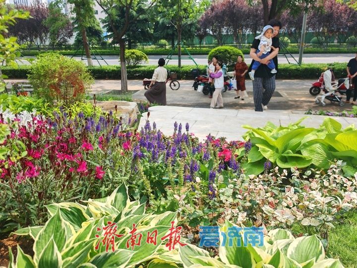 绿色生态 开放共享 济南再添一处街头公园