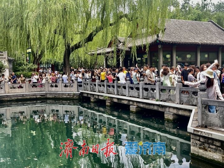 一年四季 泉在济南｜雨后趵突泉水位回升 泉水欢腾引游客