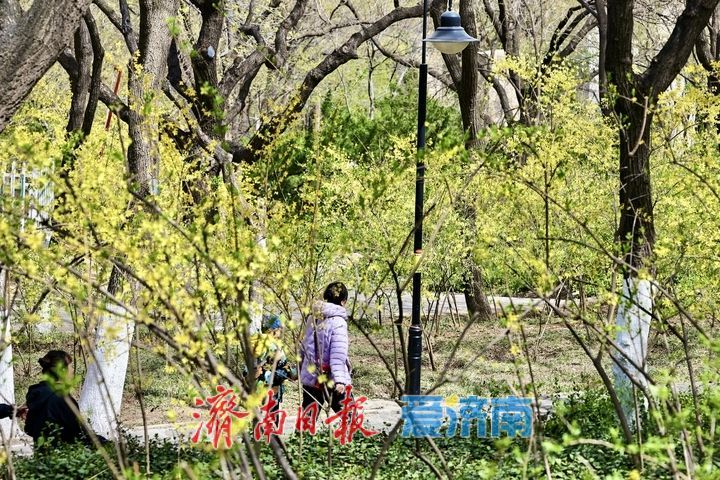 又是一年春好处 踏青赏花醉游人