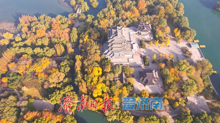 一年四季 泉在济南丨大明湖秋意浓 树木换彩妆绘美景