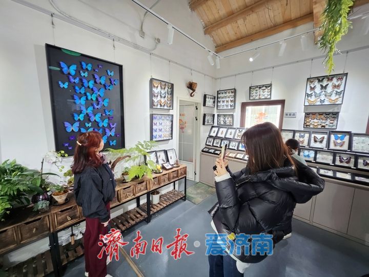 一年四季 泉在济南丨老街藏秘境 潮趣引客来