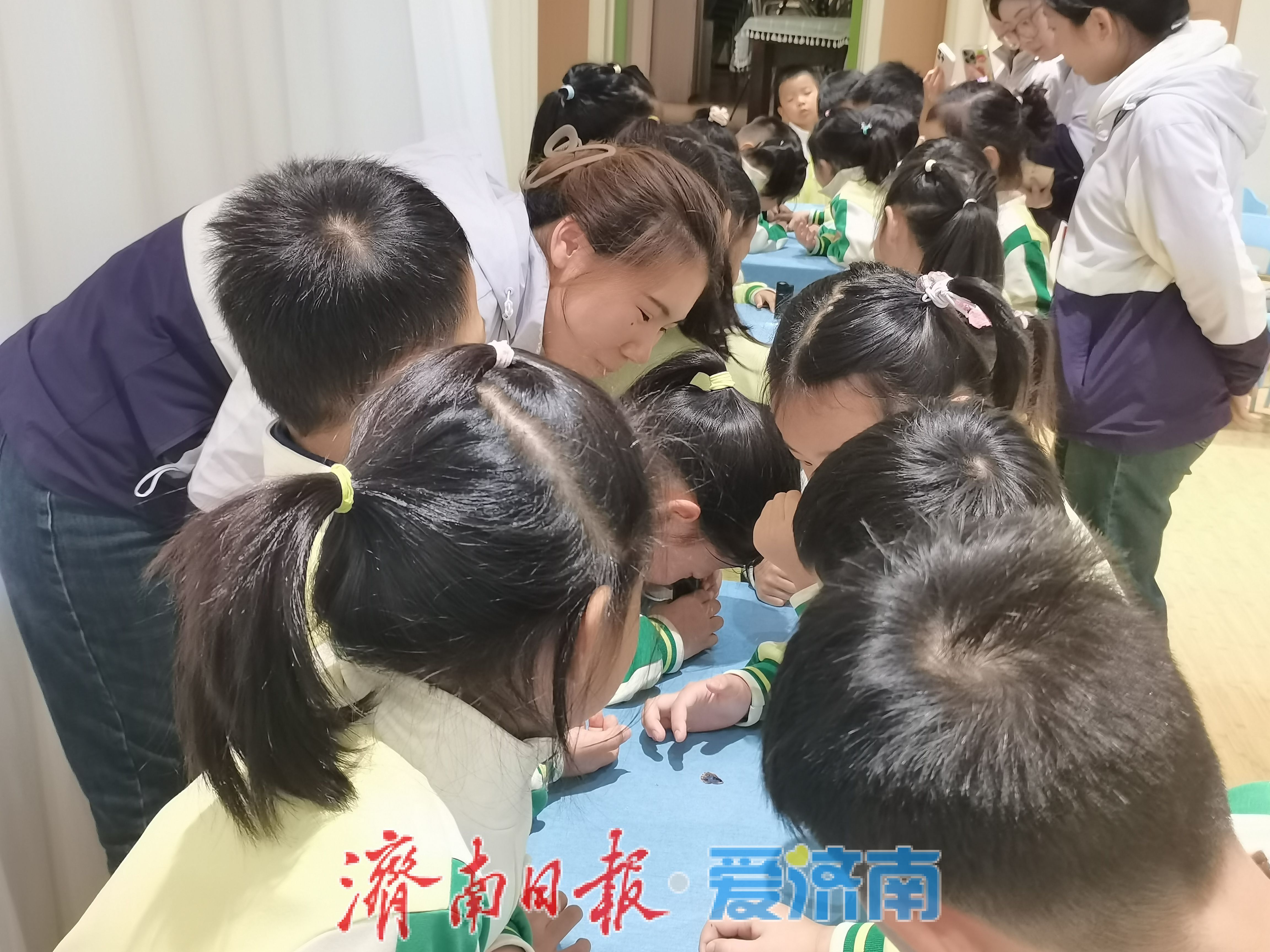 “认虫友、解虫谜”，济南这场科普活动让萌娃解锁生态奥秘