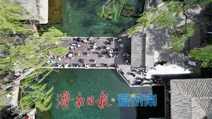 谷雨泉涌趵突盛 清泉映花入画来