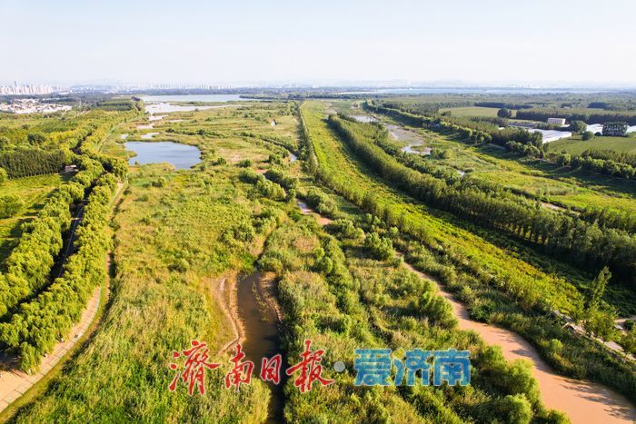 沉砂池化身“滨水湿地” 滩涂纹理如大地版画