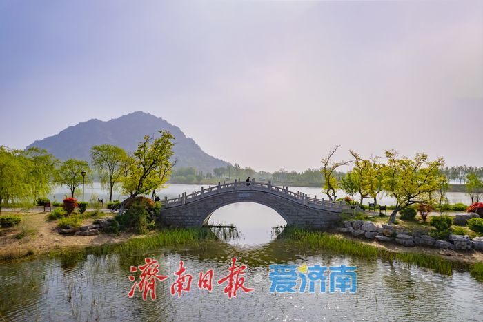 春染华不注，湖光醉游人