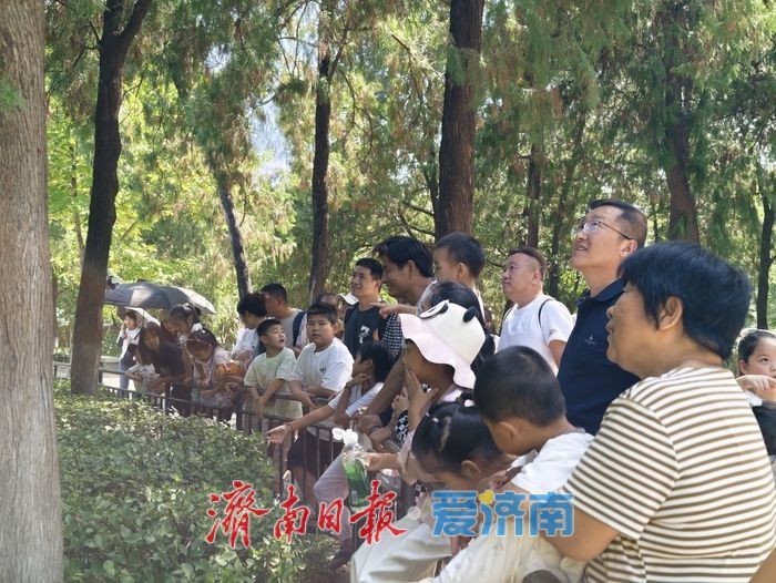 金秋游园正当时 济南动物园周末人气爆棚