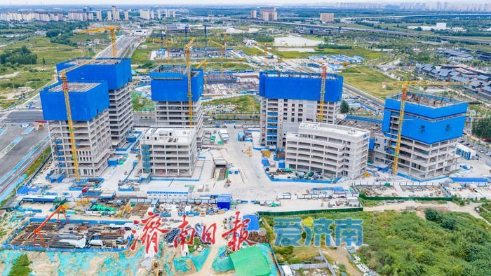聚力种业创新 筑牢粮食安全根基 中国北方种业总部基地项目稳步推进