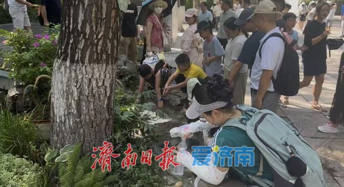 泉畔清风驱暑热！济南天下第一泉景区多措并举迎战高温服务游客