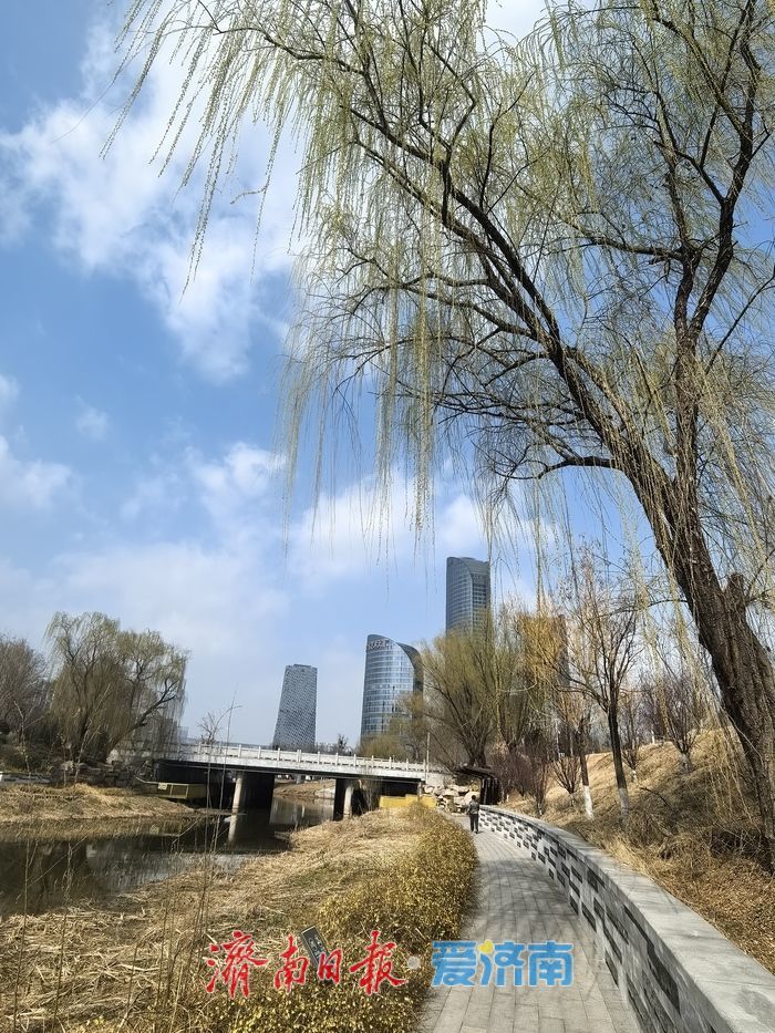 雾散天开春意浓 市民踏青享春光