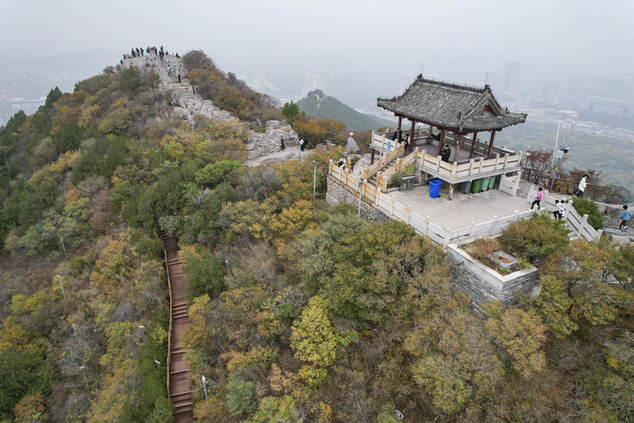 冬雾弥漫，千佛山呈现朦胧美景