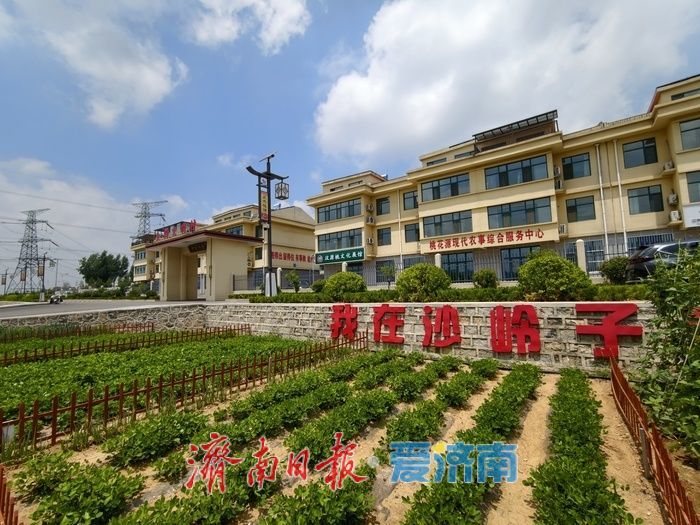 共享菜园激活城乡共生新图景