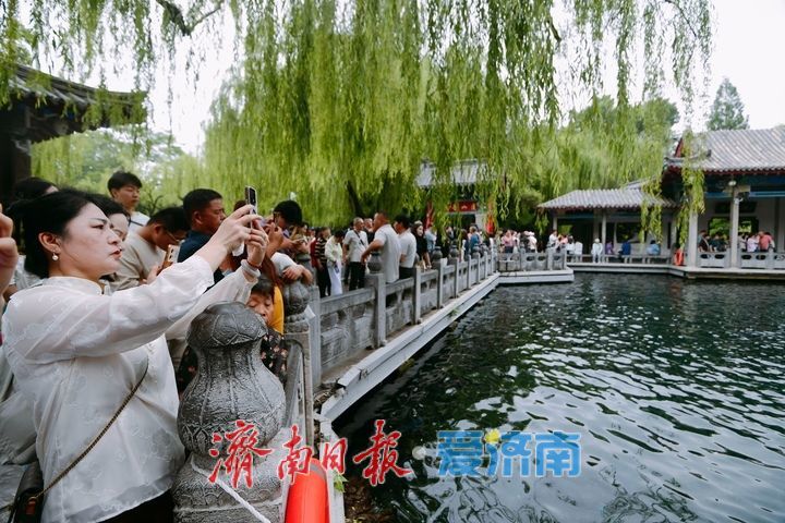 29.15米！水位连涨，“趵突腾空”活力十足