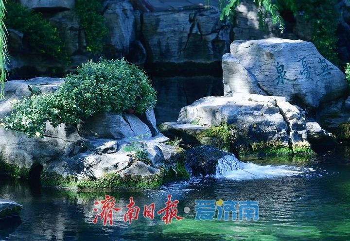 趵突流芳·菊绘华章，济南市第47届趵突泉金秋菊展加载进度90%！