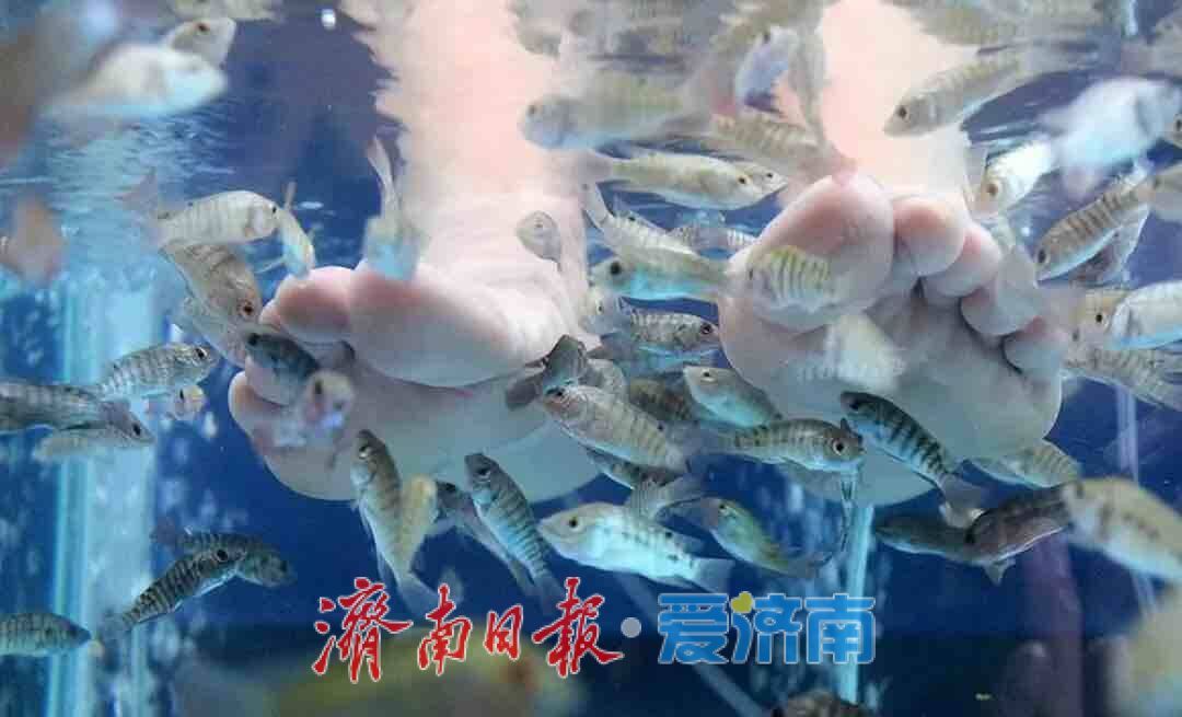 国庆觅趣指南：邂逅泉韵山色，乐享都市烟火