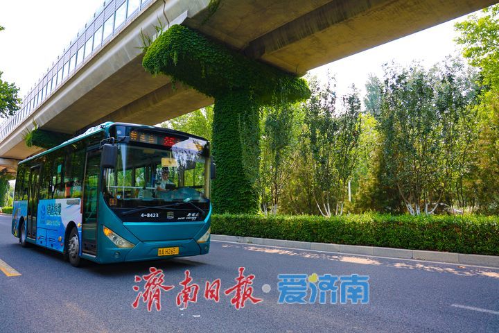 翠蔓缠桥墩 济南地铁1号线织就城市空中绿廊