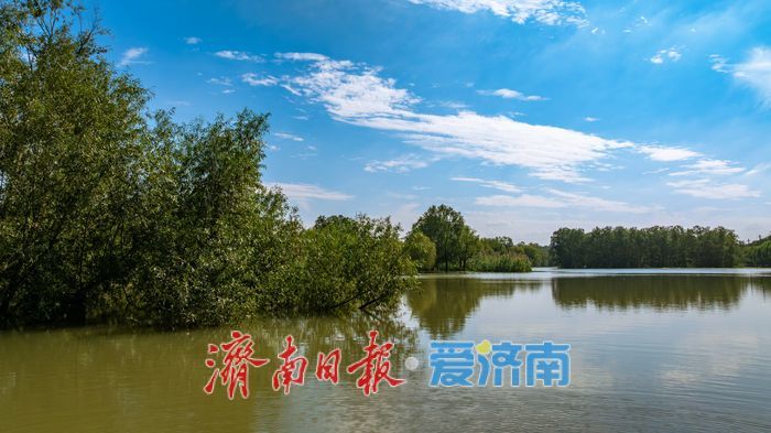 一年四季 泉在济南丨雨润玉符河 ，水位上涨绘就生态新景