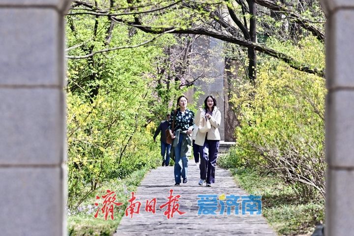 又是一年春好处 踏青赏花醉游人