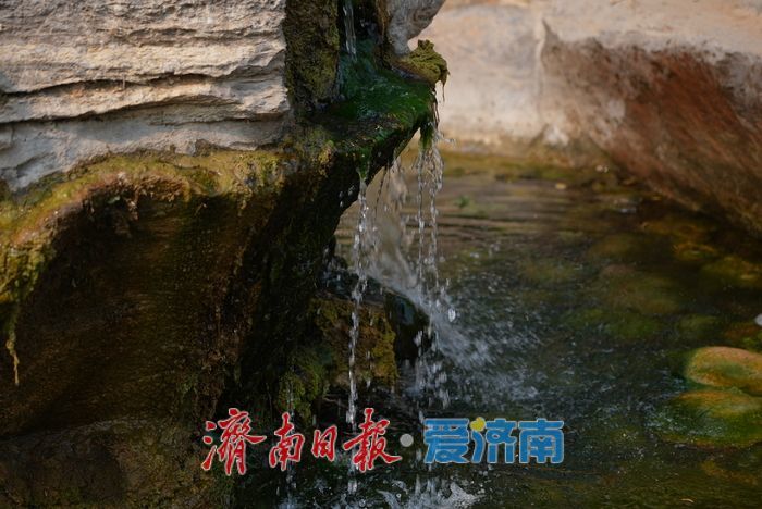 一年四季 泉在济南 