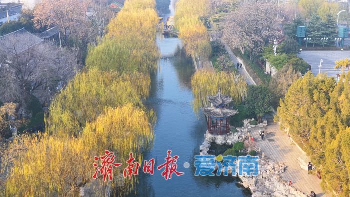 一河碧水映金柳，满城冬韵入泉声