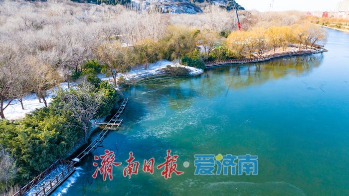 一年四季 泉在济南丨蓝天为幕，冰雪作景：一场雪后的济南细节之美